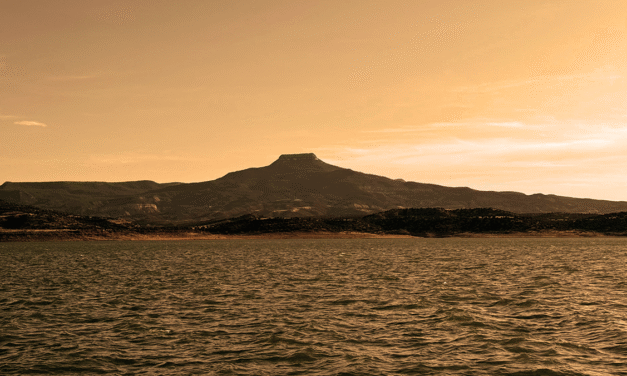 How to amend an existing contract (FREE template!)