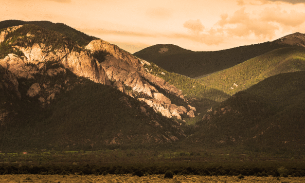 How to issue corporate stock as a small family business