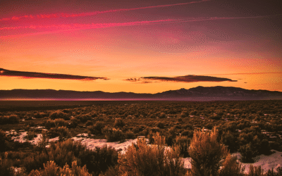 How to Use a DBA Name in New Mexico