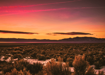 How to Use a DBA Name in New Mexico