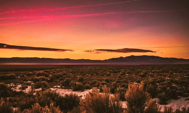 How to Use a DBA Name in New Mexico