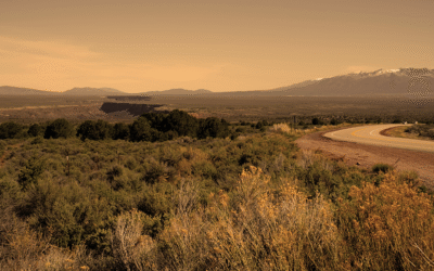 Do I need an operating agreement for my LLC in New Mexico?