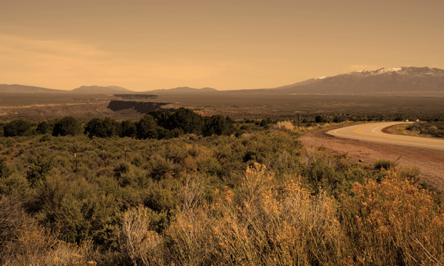 Do I need an operating agreement for my LLC in New Mexico?