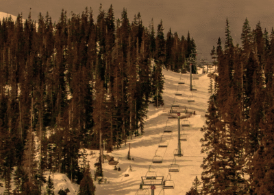 Who can sign a business contract?