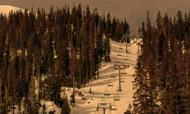 Who can sign a business contract?