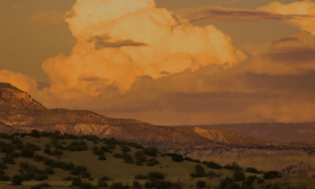 How to sign business contracts