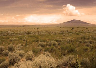 What is a legally enforceable contract?