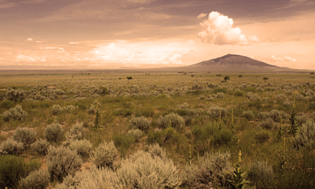 What is a legally enforceable contract?