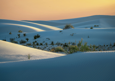 Buyers are now responsible for their real estate broker’s commission: what this means for buyers and sellers