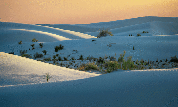 Buyers are now responsible for their real estate broker’s commission: what this means for buyers and sellers