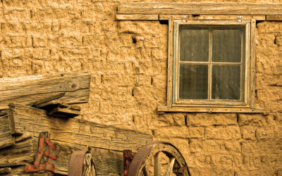 Why businesses organize in Delaware and how New Mexico compares