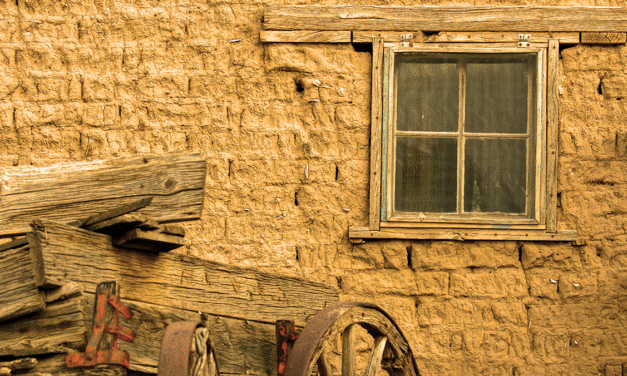 Why businesses organize in Delaware and how New Mexico compares