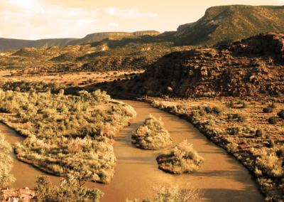 Can I use AI to write a contract?