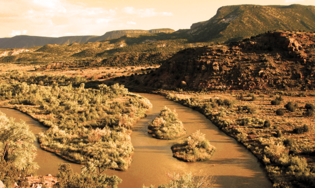 Can I use AI to write a contract?