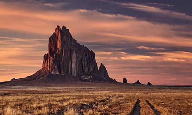 4 must-dos when going from single-owner LLC to multiple owners