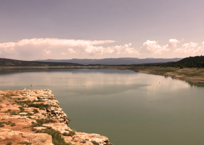 How to Access and Create Business Records Online