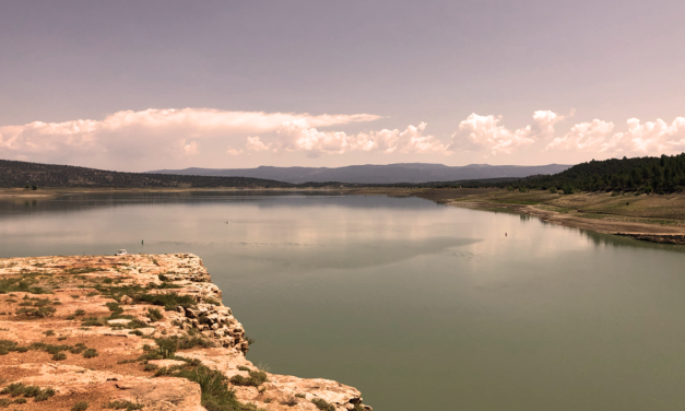 How to Access and Create Business Records Online