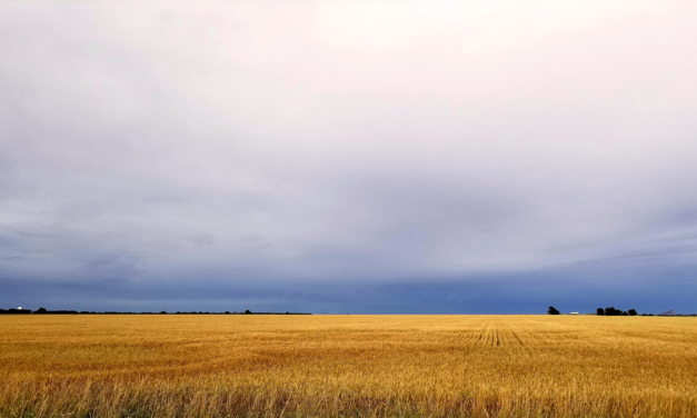 Can LLCs be nonprofits?